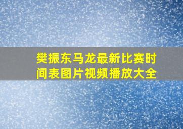 樊振东马龙最新比赛时间表图片视频播放大全