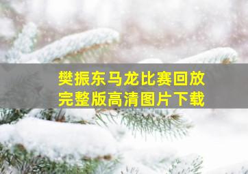 樊振东马龙比赛回放完整版高清图片下载