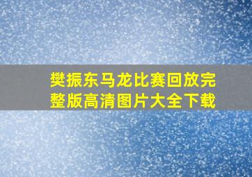 樊振东马龙比赛回放完整版高清图片大全下载