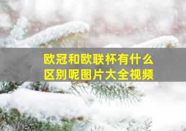 欧冠和欧联杯有什么区别呢图片大全视频