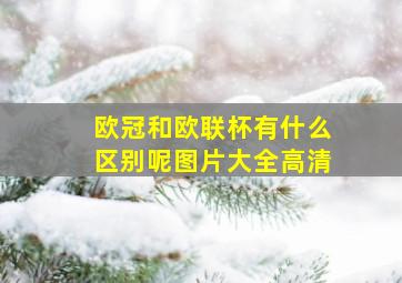 欧冠和欧联杯有什么区别呢图片大全高清