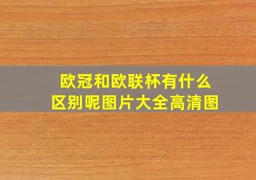 欧冠和欧联杯有什么区别呢图片大全高清图