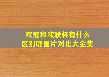 欧冠和欧联杯有什么区别呢图片对比大全集