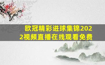 欧冠精彩进球集锦2022视频直播在线观看免费