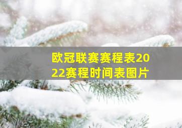 欧冠联赛赛程表2022赛程时间表图片