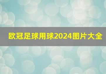 欧冠足球用球2024图片大全