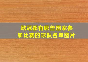 欧冠都有哪些国家参加比赛的球队名单图片