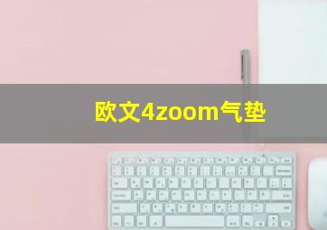 欧文4zoom气垫