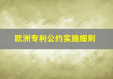 欧洲专利公约实施细则