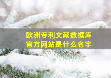 欧洲专利文献数据库官方网站是什么名字