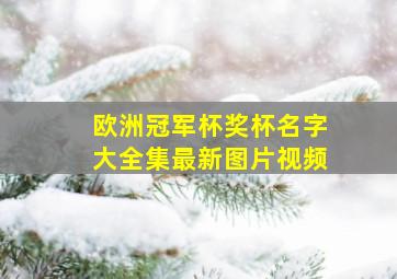 欧洲冠军杯奖杯名字大全集最新图片视频