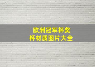 欧洲冠军杯奖杯材质图片大全