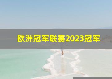 欧洲冠军联赛2023冠军