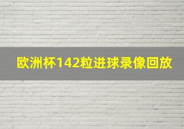 欧洲杯142粒进球录像回放