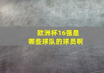 欧洲杯16强是哪些球队的球员啊