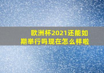 欧洲杯2021还能如期举行吗现在怎么样啦