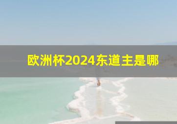 欧洲杯2024东道主是哪