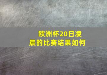 欧洲杯20日凌晨的比赛结果如何