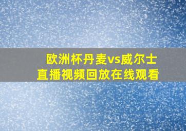 欧洲杯丹麦vs威尔士直播视频回放在线观看