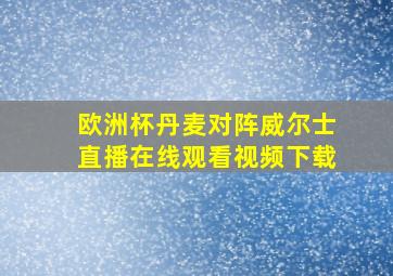 欧洲杯丹麦对阵威尔士直播在线观看视频下载