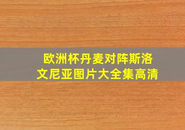 欧洲杯丹麦对阵斯洛文尼亚图片大全集高清