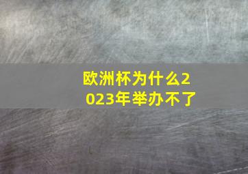 欧洲杯为什么2023年举办不了