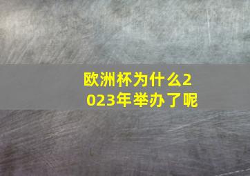 欧洲杯为什么2023年举办了呢