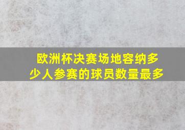 欧洲杯决赛场地容纳多少人参赛的球员数量最多