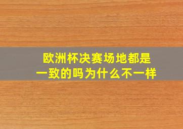 欧洲杯决赛场地都是一致的吗为什么不一样