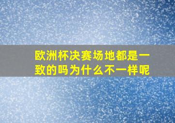 欧洲杯决赛场地都是一致的吗为什么不一样呢