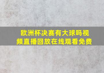 欧洲杯决赛有大球吗视频直播回放在线观看免费