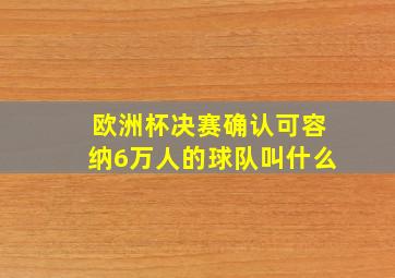 欧洲杯决赛确认可容纳6万人的球队叫什么