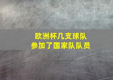 欧洲杯几支球队参加了国家队队员