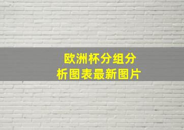 欧洲杯分组分析图表最新图片