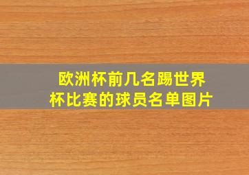 欧洲杯前几名踢世界杯比赛的球员名单图片