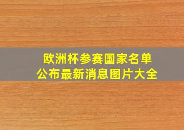 欧洲杯参赛国家名单公布最新消息图片大全