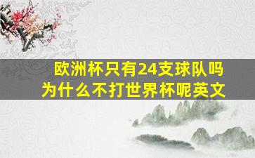 欧洲杯只有24支球队吗为什么不打世界杯呢英文