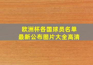 欧洲杯各国球员名单最新公布图片大全高清