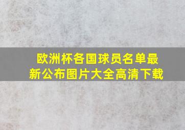 欧洲杯各国球员名单最新公布图片大全高清下载