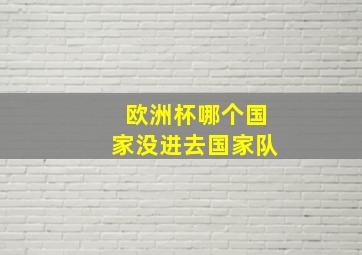 欧洲杯哪个国家没进去国家队