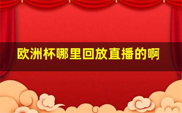 欧洲杯哪里回放直播的啊