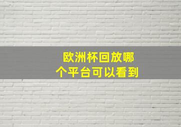 欧洲杯回放哪个平台可以看到