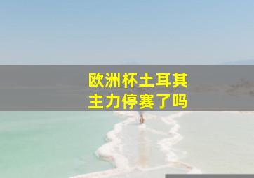 欧洲杯土耳其主力停赛了吗