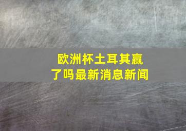 欧洲杯土耳其赢了吗最新消息新闻