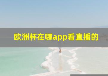 欧洲杯在哪app看直播的