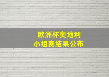 欧洲杯奥地利小组赛结果公布