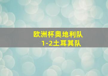 欧洲杯奥地利队1-2土耳其队