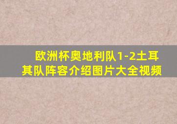 欧洲杯奥地利队1-2土耳其队阵容介绍图片大全视频