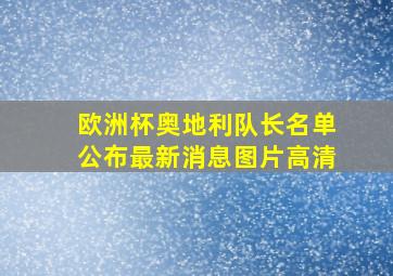 欧洲杯奥地利队长名单公布最新消息图片高清