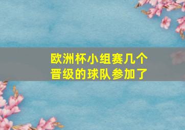 欧洲杯小组赛几个晋级的球队参加了